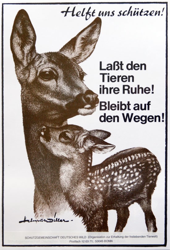 rehe schützen