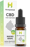 cbd öl schmerzmittel katze