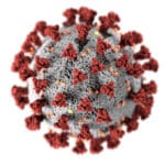 Vogelgrippe Virus